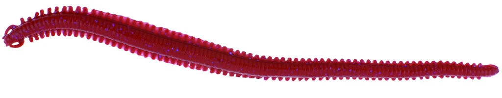 Berkley Gulp! Alive Nereis 15cm - Seeringelwurm - 28 Stück 3 Berkley Gulp! Alive Nereis 15cm - Seeringelwurm - 28 Stück