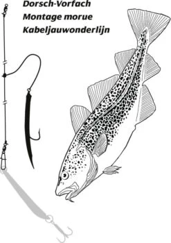 Rhino Dorschvorfach Mit Gummimakk Rot 8/0 7 Rhino Dorschvorfach Mit Gummimakk Rot 8/0 -Angelausrüstung 4880001 I1 772597 1280x1280