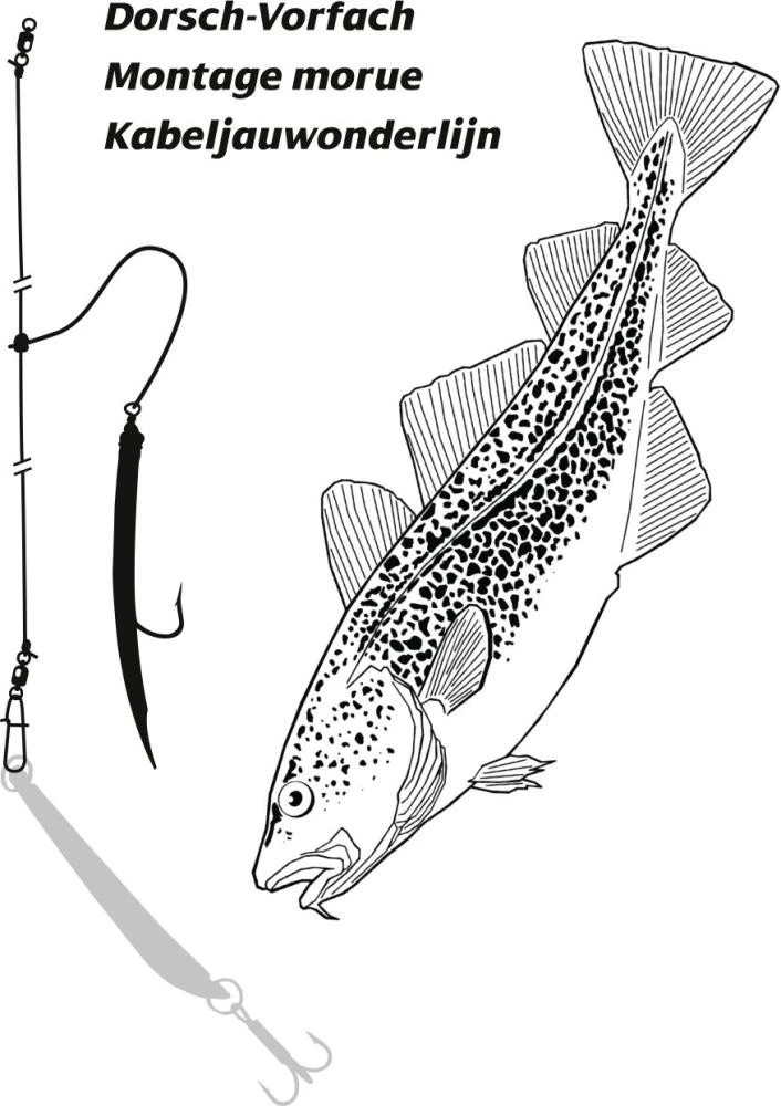 Rhino Dorschvorfach Mit Gummimakk Rot 8/0 5 Rhino Dorschvorfach Mit Gummimakk Rot 8/0 – Bild 3