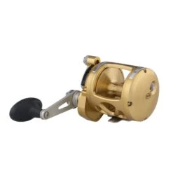 PENN Internationl VI - Multirolle 11 PENN Internationl VI - Multirolle -Angelausrüstung PENN International VIS 16 Gold 2018 1370776 alt2FeFLL73dkR3ue 1280x1280