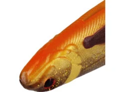 Westin SHADTEEZ Slim 18cm - 27cm - Blister -Angelausrüstung p165 x3 large 772879 1280x1280